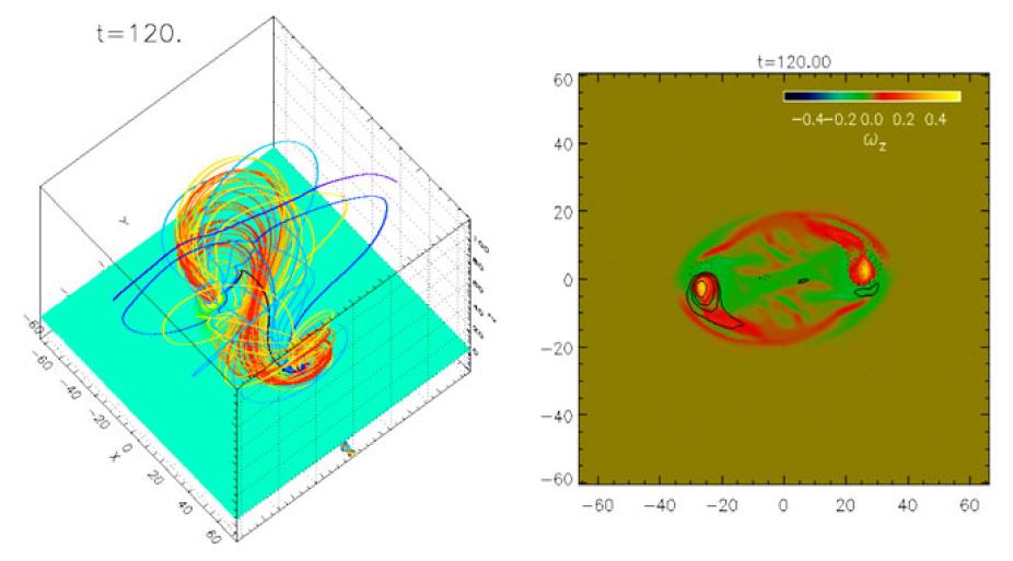 The left panel shows the 3D coronal magnetic field resulting from flux emergence. The black field line is the line going through the O-point of the transverse magnetic field in the central cross-section (at x=0), representing the new axis of the coronal flux rope structure. The right image shows the z-component of the vorticity on the photosphere overlaid with contours of Bz with solid (dotted) contours representing positive (negative) Bz. The image show counter-clockwise vortical motion (i.e. positive z-vo