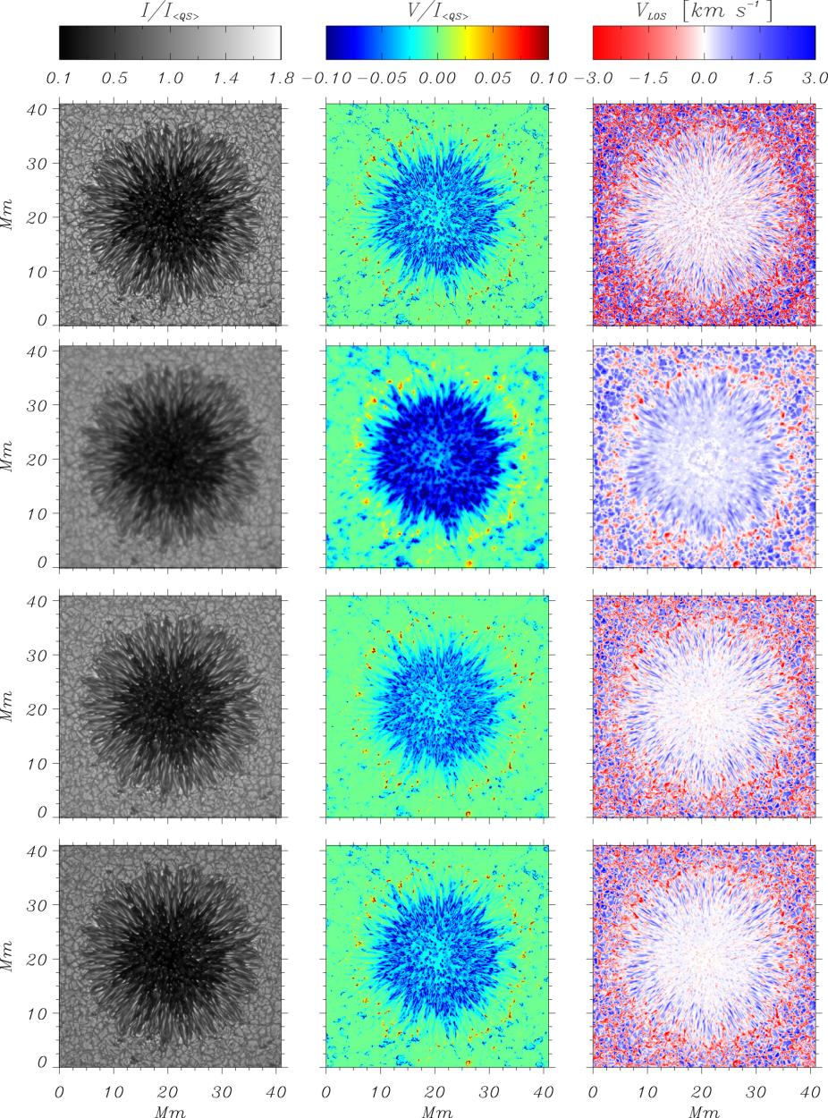 Sunspot simulations