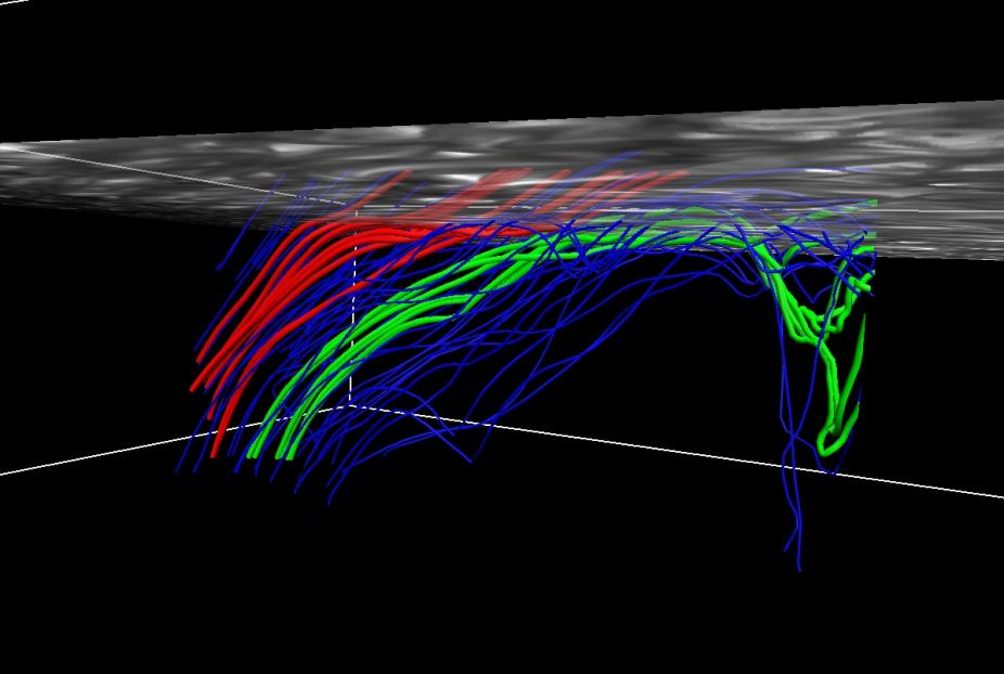 Frame from an animation of selected magnetic field lines in the penumbra of a simulated sunspot