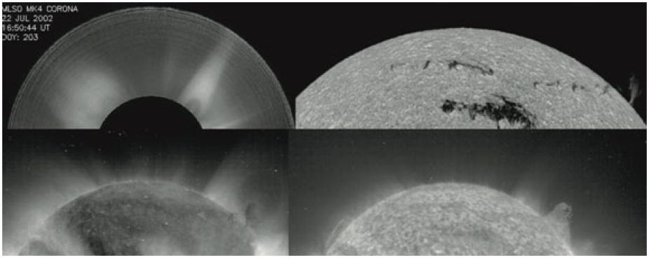 July 22, 2002 observations of a polar crown filament and associated cavity