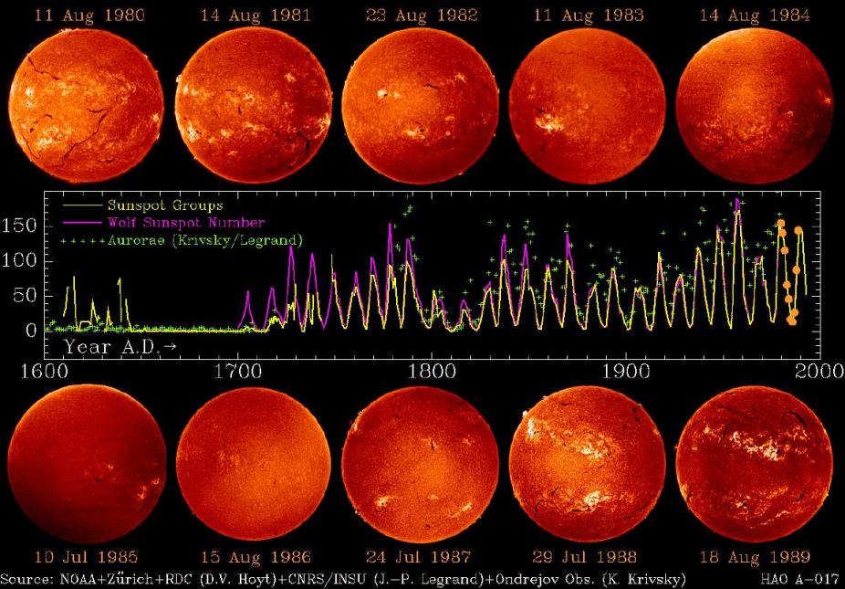 The Sunspot Cycle | High Altitude Observatory