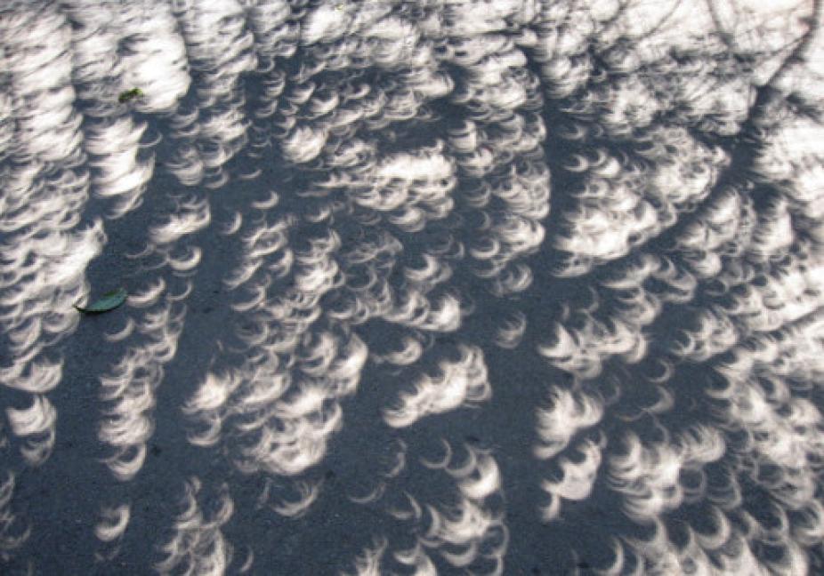Crescents of light during an eclipse