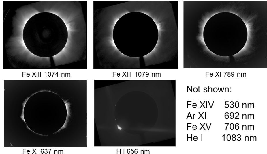sample of five of the nine spectral lines acquired with UCoMP showing coronal structures at various temperatures.
