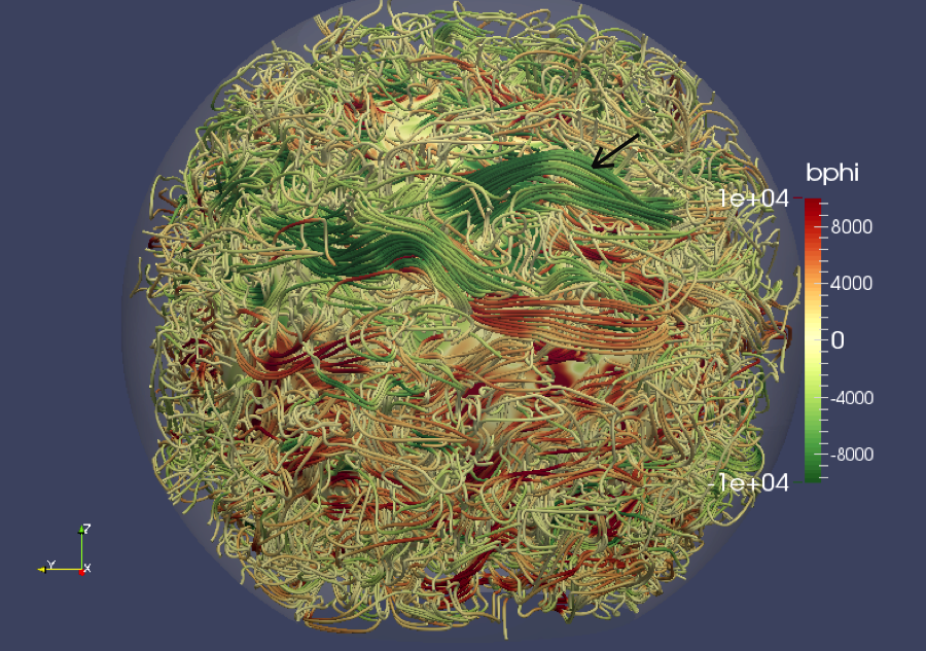 3D view of the magnetic field lines in a simulation of the solar convective dynamo