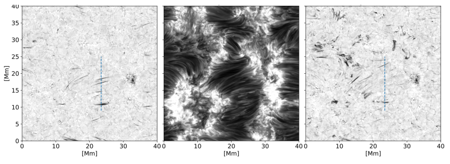 Synthetic Hα images generated from a MURaM simulation
