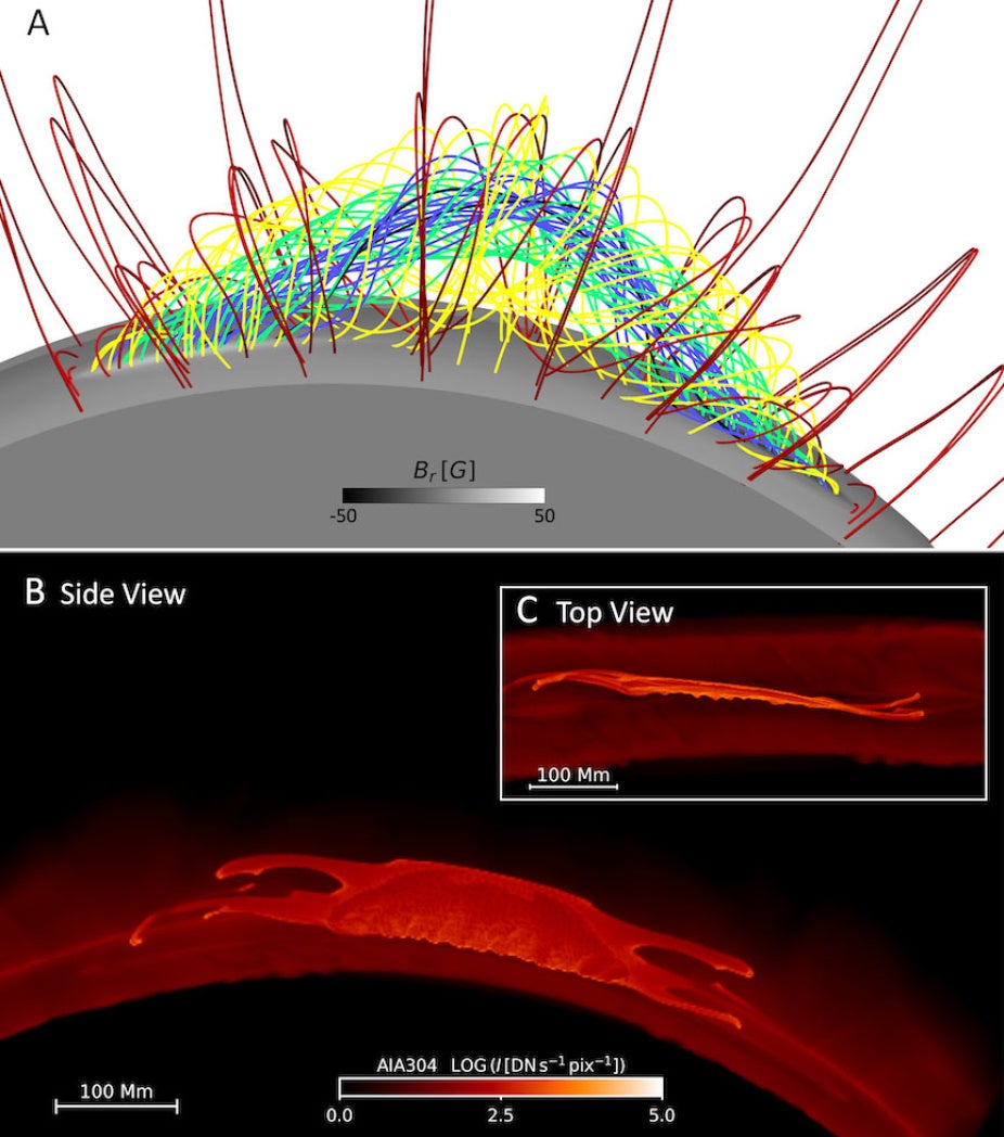 MHD simulation of a prominence-forming coronal flux rope. (A) Magnetic field lines of the flux rope confined beneath the overlying coronal streamer field. Synthetic SDO/AIA 304 Å emission reveals a vertically extended prominence sheet in the side view (B) and a barb-bearing filament in the top view (C).