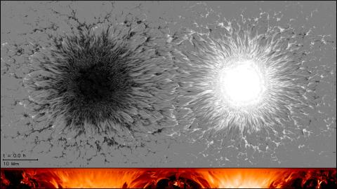 Sunspot simulation