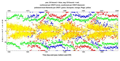 Large-scale organization of solar magnetic fields