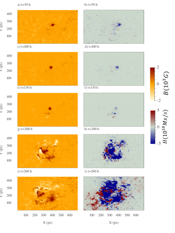 Evolution of the magnetic fields (left) and helicity density (right) for AR 12673