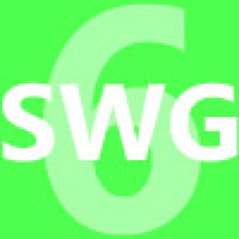 SWG 6 icon