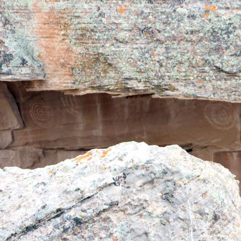 A row of three petroglyphs have been pecked on the smooth, nearly vertical face underneath the overhanging ledge of the larger boulder