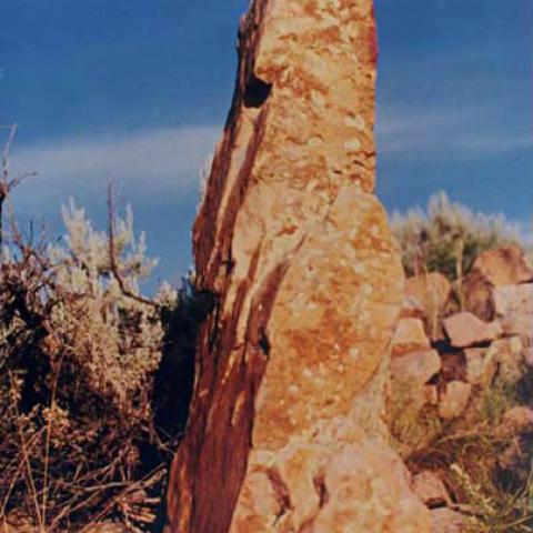 Monolith at Yellow Jacket possibly used for a solar calendar