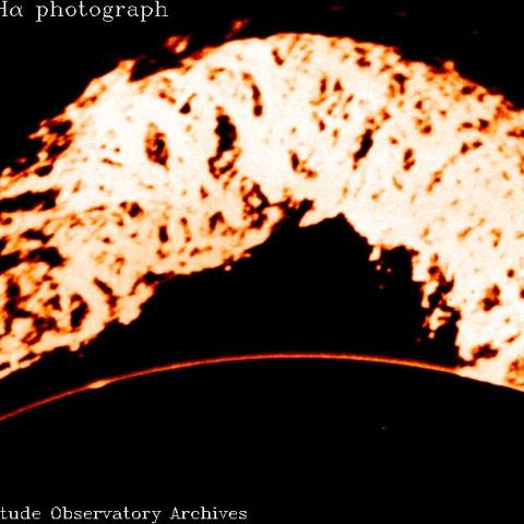 June 4, 1946: Hα photograph of Grand Daddy prominence
