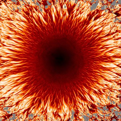 Image created by a sunspot model