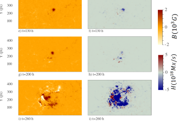 Evolution of the magnetic fields (left) and helicity density (right) for AR 12673